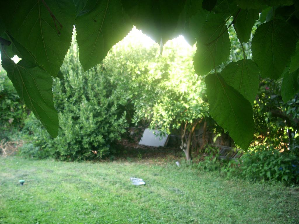 Patriko Country House Vori Exterior photo